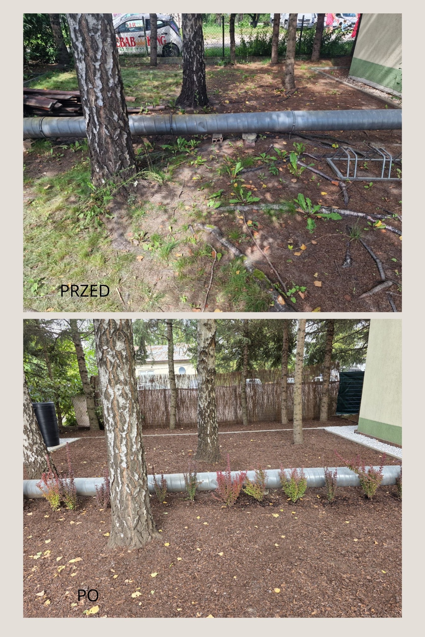 Ogród to miejsce, w którym odpoczywa ciało i dusza – zadbaj o swoją przestrzeń razem z nami!