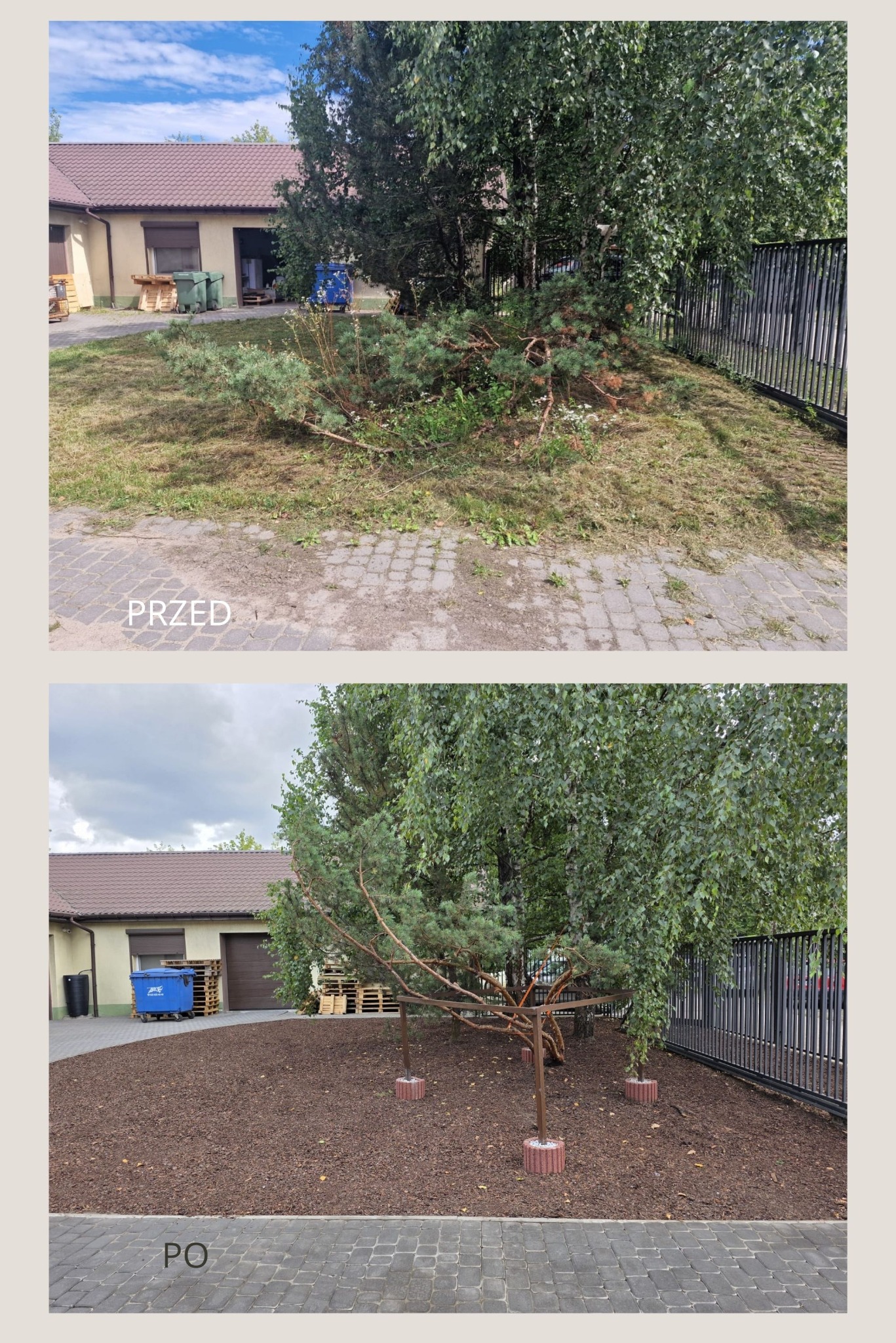 Zdjęcie 'przed i po' ukazujące metamorfozę ogrodu: od zaniedbanego trawnika z gałęziami do schludnego terenu z korą wokół drzew i kostką brukową.