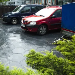 Ułożona, sześciokątna nawierzchnia z szarego tworzywa, częściowo mokra, z zaparkowanymi samochodami w tle. Widok zza krzewów.