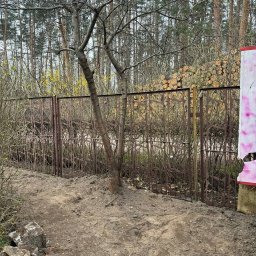 Roman Pudelko - Działka z wykarczowanymi drzewami i stertą pociętego drewna za ozdobnym, metalowym ogrodzeniem. Ziemia przekopana, przygotowana pod nasadzenia.