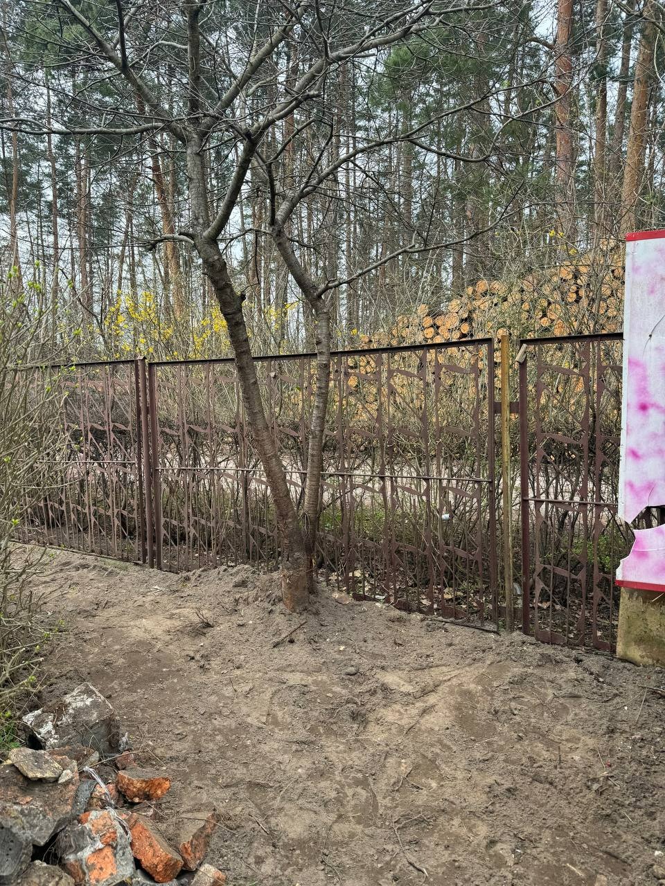 Działka z wykarczowanymi drzewami i stertą pociętego drewna za ozdobnym, metalowym ogrodzeniem. Ziemia przekopana, przygotowana pod nasadzenia.