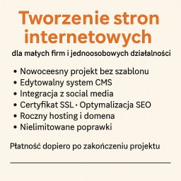 Tworzenie stron internetowych Pruszków 1