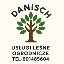 Wycinka drzew Chróścina 1