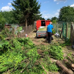 M-bruk Marcin Rybarczyk - Pracownik w niebieskiej koszulce ładuje gałęzie do przyczepki za czerwonym vanem. Świeżo przycięte gałęzie leżą na ziemi. W tle zielona brama i drzewa.
