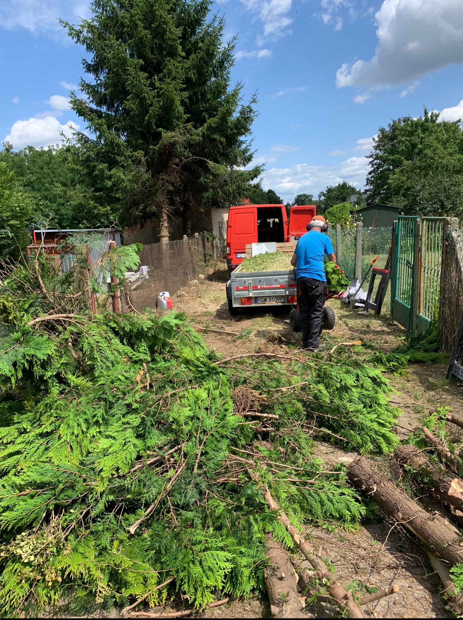 Pracownik w niebieskiej koszulce ładuje gałęzie do przyczepki za czerwonym vanem. Świeżo przycięte gałęzie leżą na ziemi. W tle zielona brama i drzewa.