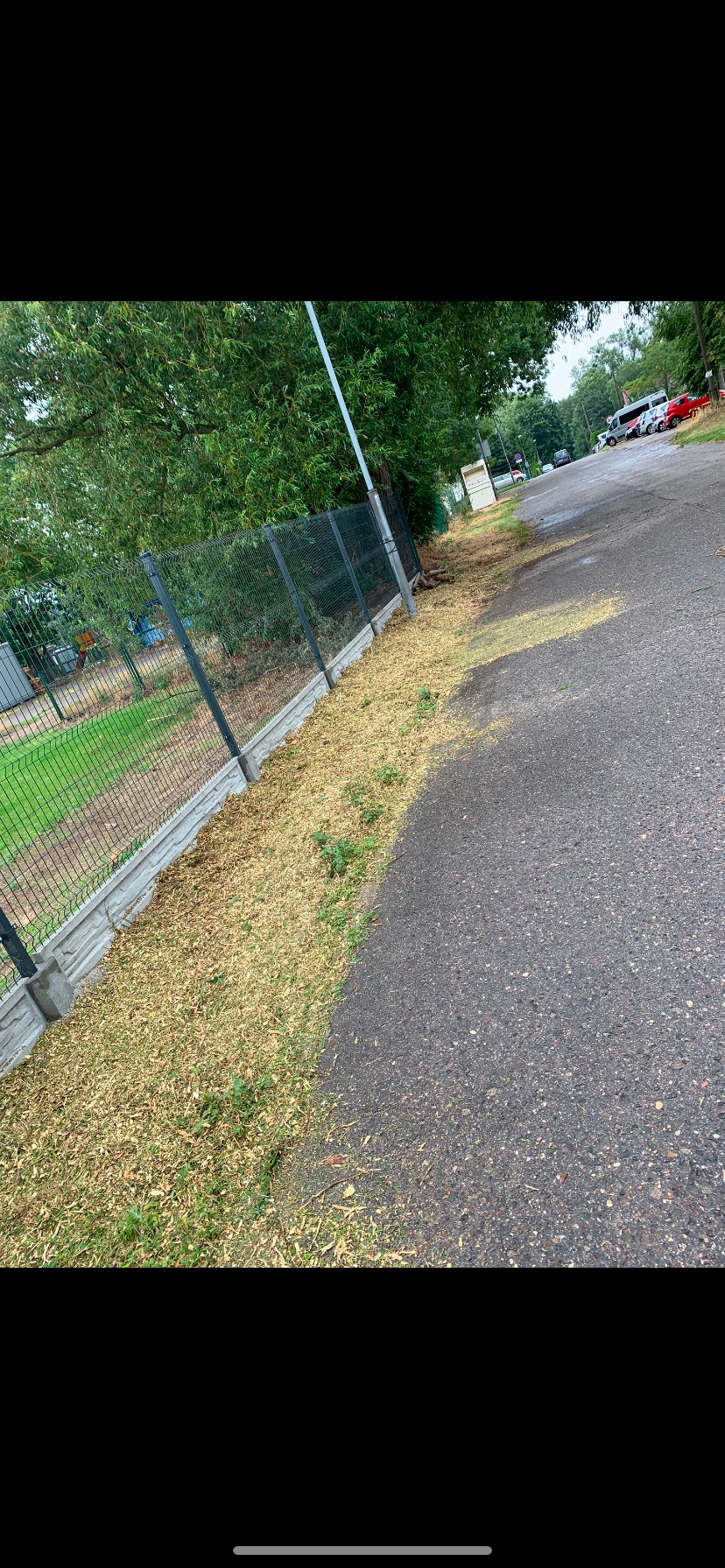 Nowoczesne ogrodzenie panelowe z podmurówką betonową, widoczne z perspektywy ulicy, z resztkami trawy po koszeniu wzdłuż ogrodzenia.