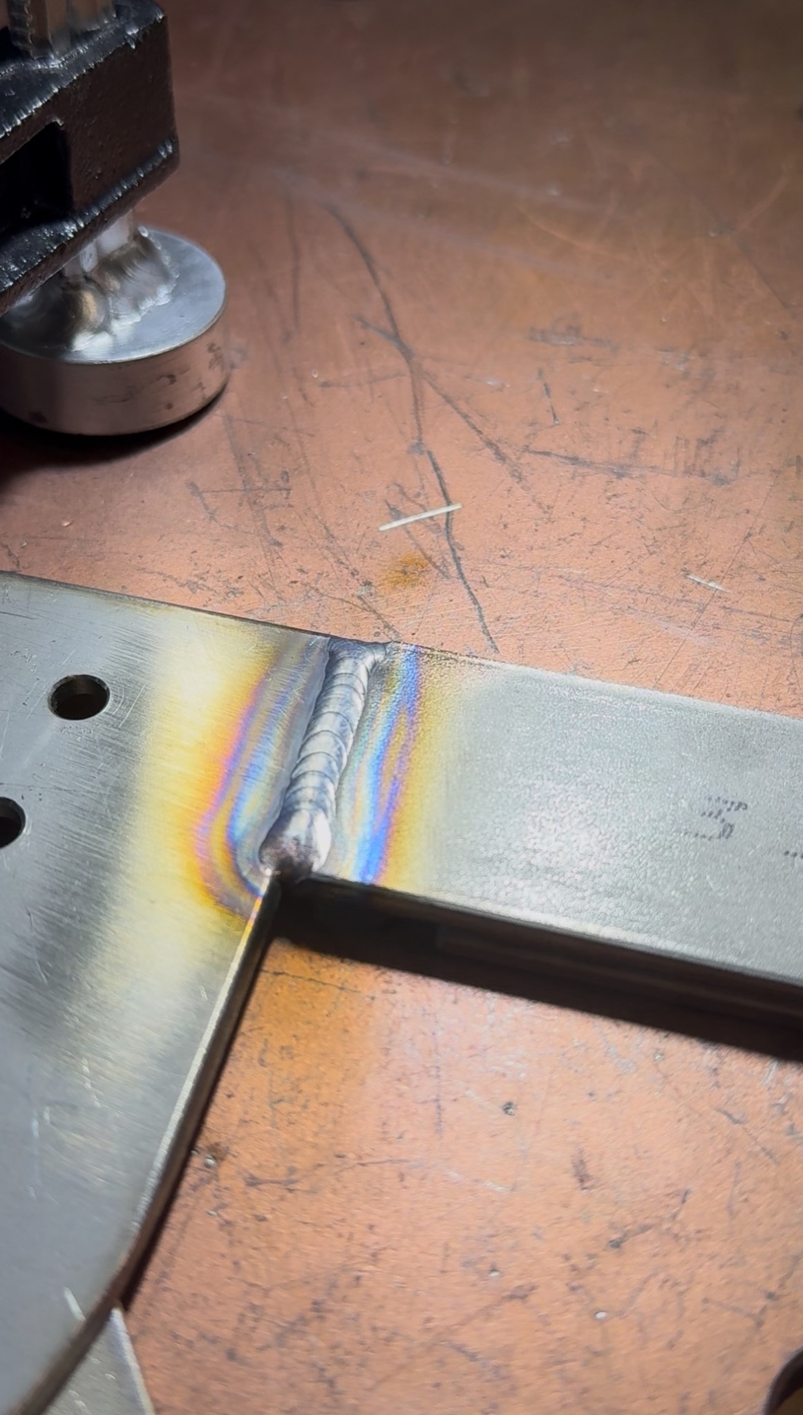 Slalom treningowy do Agility dla psów