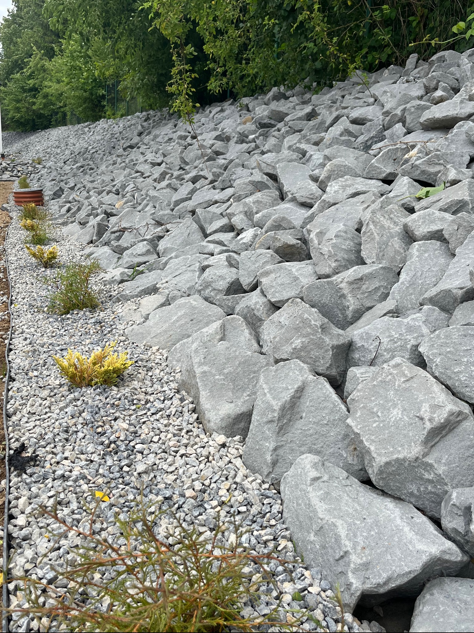 Skarpa umocniona dużymi, szarymi kamieniami. U podnóża wysypany drobny żwir, z posadzonymi niskimi krzewami iglastymi. W tle widoczne drzewa.
