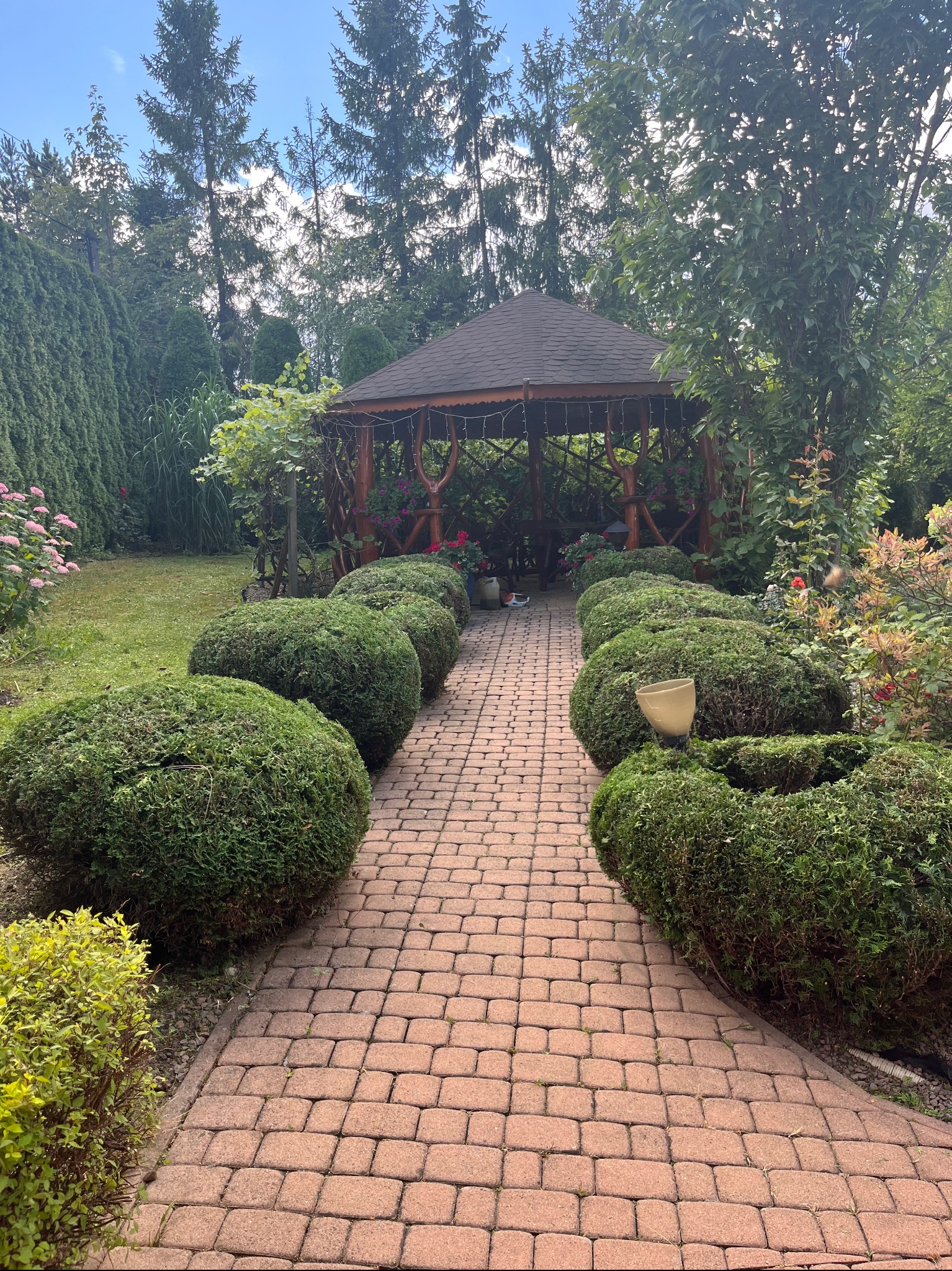 Ogród z równo przyciętymi krzewami wzdłuż ścieżki z kostki prowadzącej do altany. W tle wysokie drzewa i inne rośliny.