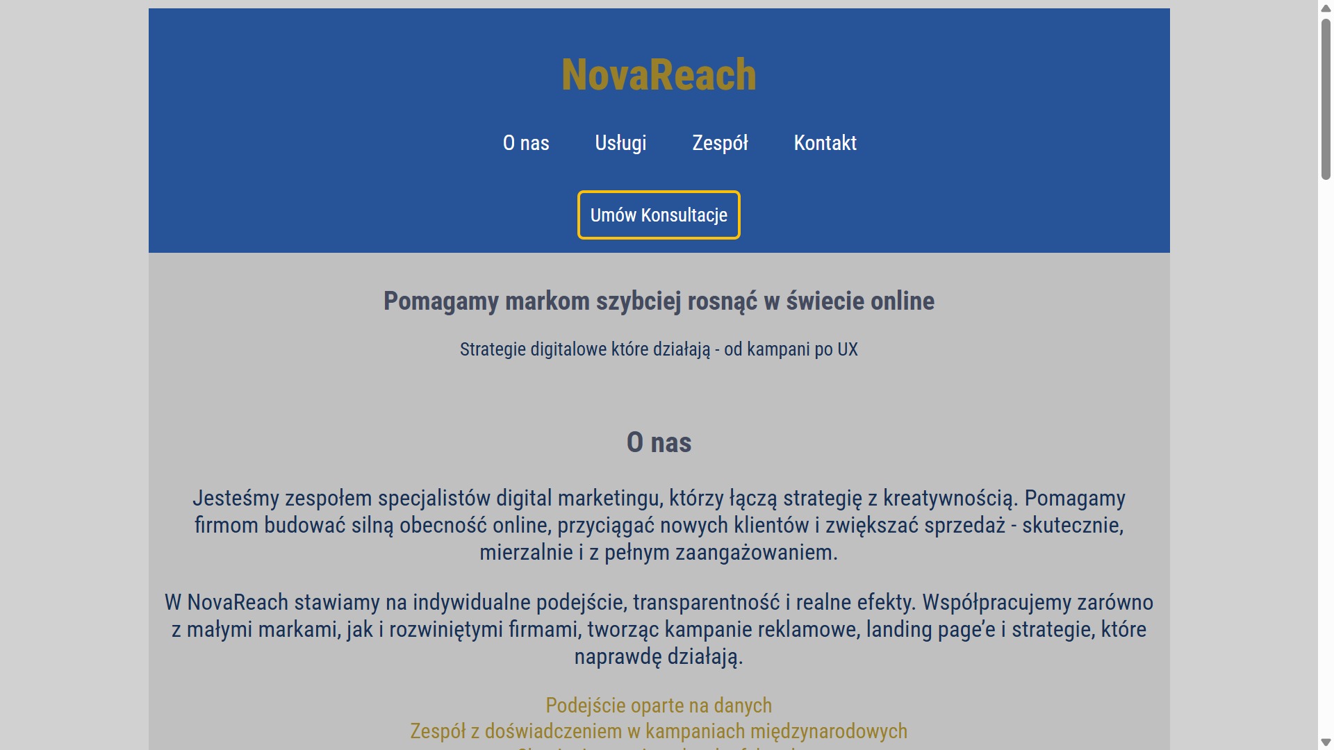 Zrzut ekranu strony internetowej agencji marketingowej NovaReach. Widoczny nagłówek z menu, logo i hasło: 'Pomagamy markom szybciej rosnąć w świecie online'.