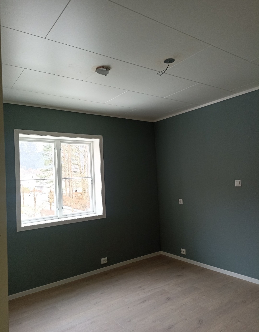 Pomieszczenie po remoncie: ściany pomalowane na ciemnozielono, jasna podłoga, biały sufit z widocznymi liniami łączeń. Okno z widokiem na drzewa.