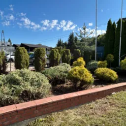 Kwitnący ogród z różnorodnymi krzewami i drzewami iglastymi, oddzielony niskim murkiem z cegły, na tle błękitnego nieba z chmurami.