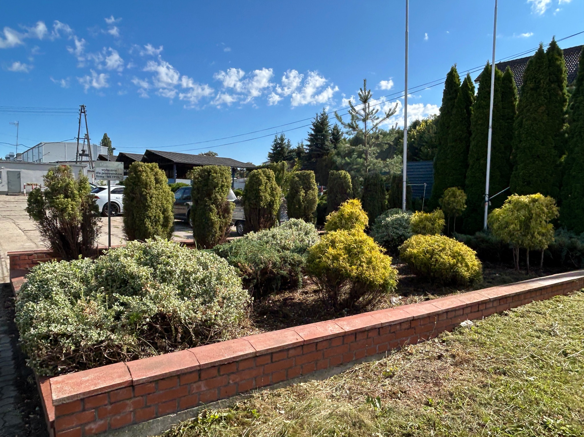 Kwitnący ogród z różnorodnymi krzewami i drzewami iglastymi, oddzielony niskim murkiem z cegły, na tle błękitnego nieba z chmurami.