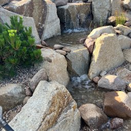 Oczka wodne Kraków 3