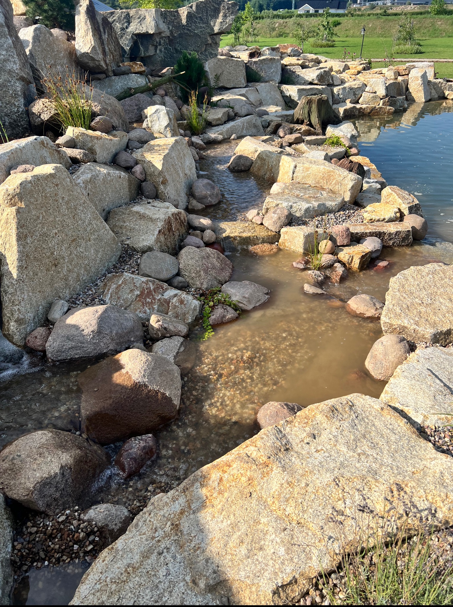 Kaskada z kamieni w ogrodzie, woda spływa po skałach do małego stawu. Widoczne rośliny wodne i trawy. W tle domy.