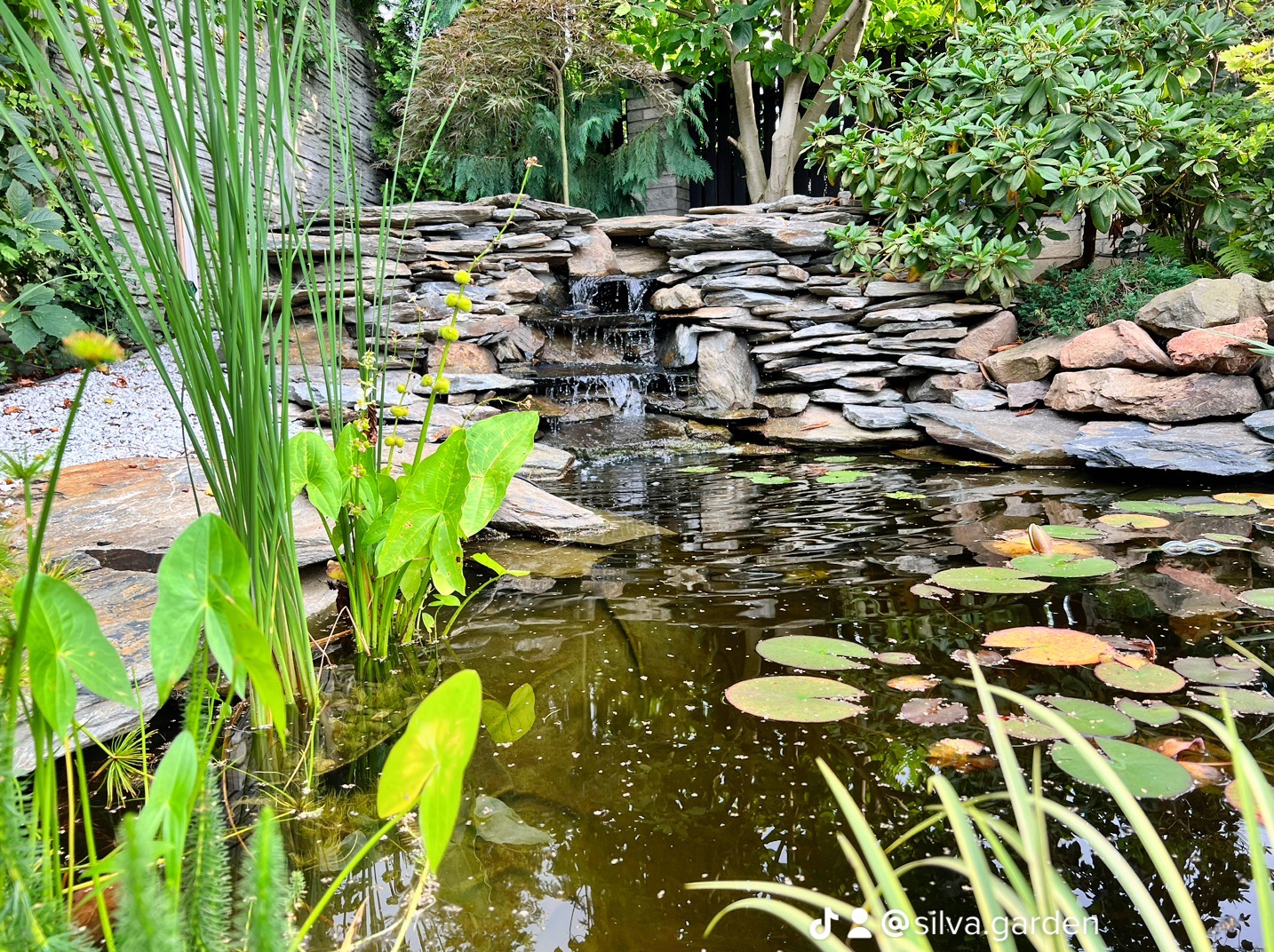 Oczko wodne z kaskadą wodną, otoczone kamieniami i roślinnością wodną. Na powierzchni wody widoczne liście lilii wodnych. W tle drzewa i krzewy.