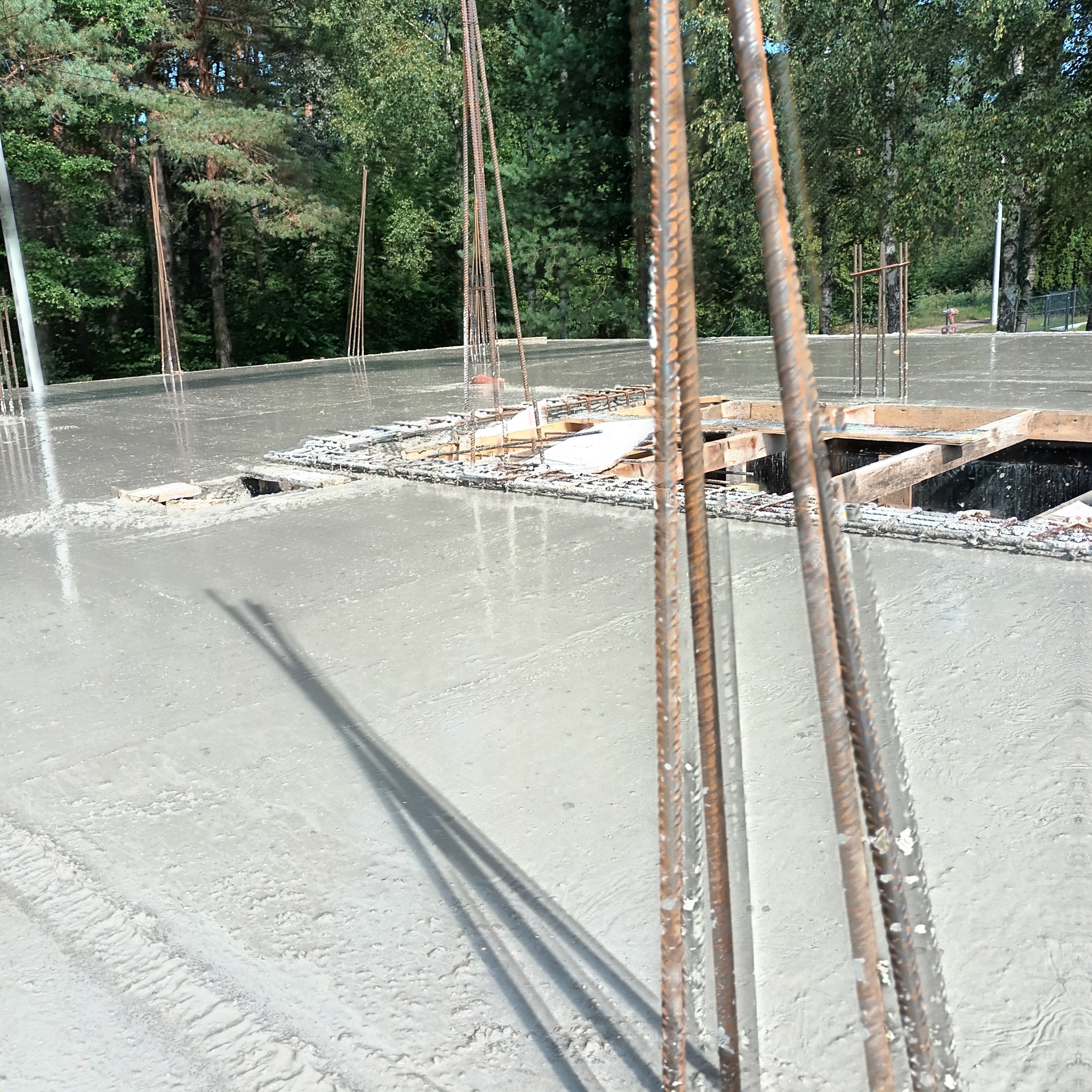 Świeżo wylana betonowa płyta fundamentowa z wystającymi prętami zbrojeniowymi na tle zieleni. Widoczne ślady po rozprowadzaniu betonu.