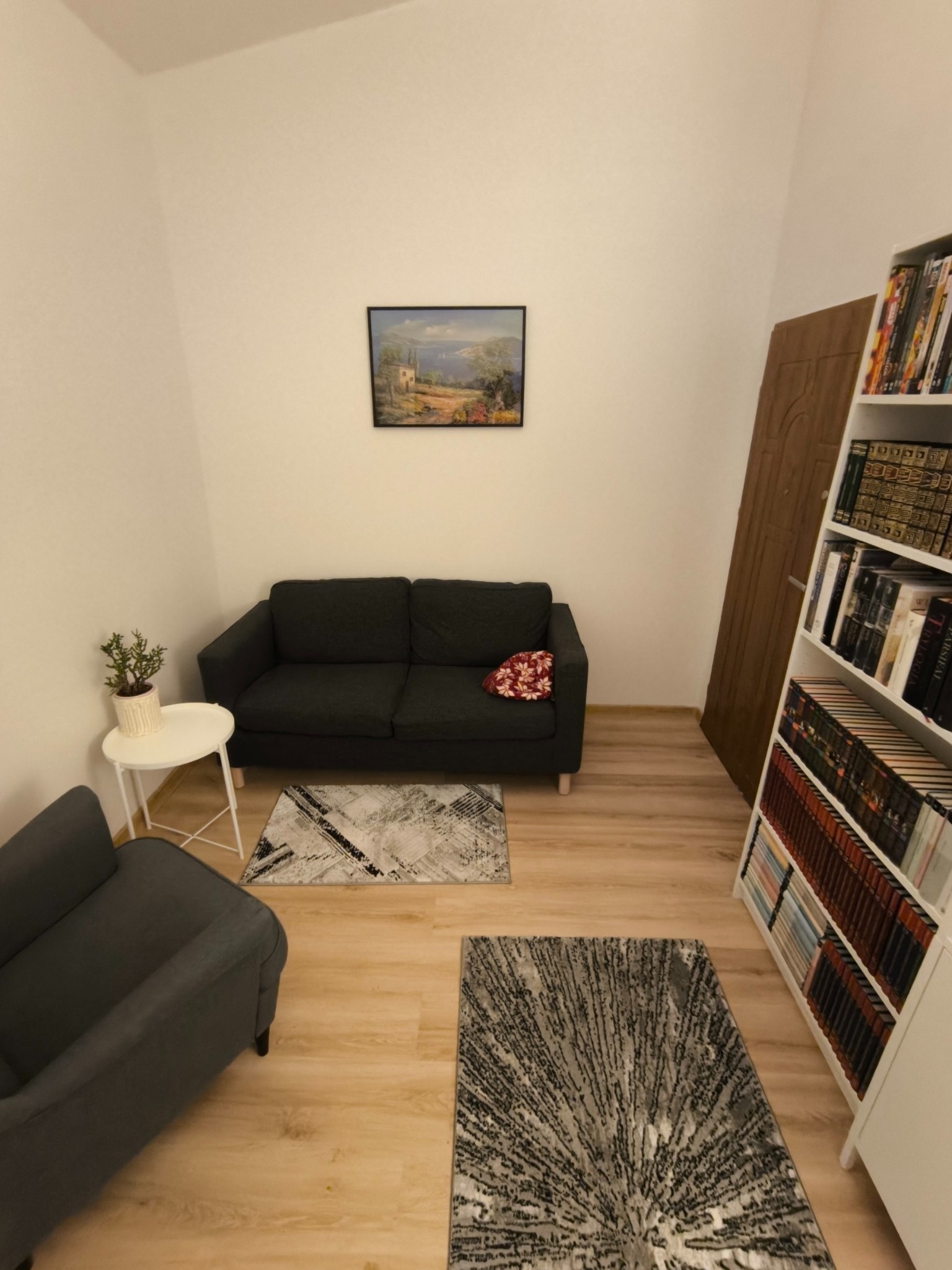 Gabinet terapeutyczny: szara sofa z poduszką, stolik z rośliną, regał z książkami, obraz na ścianie, dywany w odcieniach szarości i beżu, jasne drewniane panele.