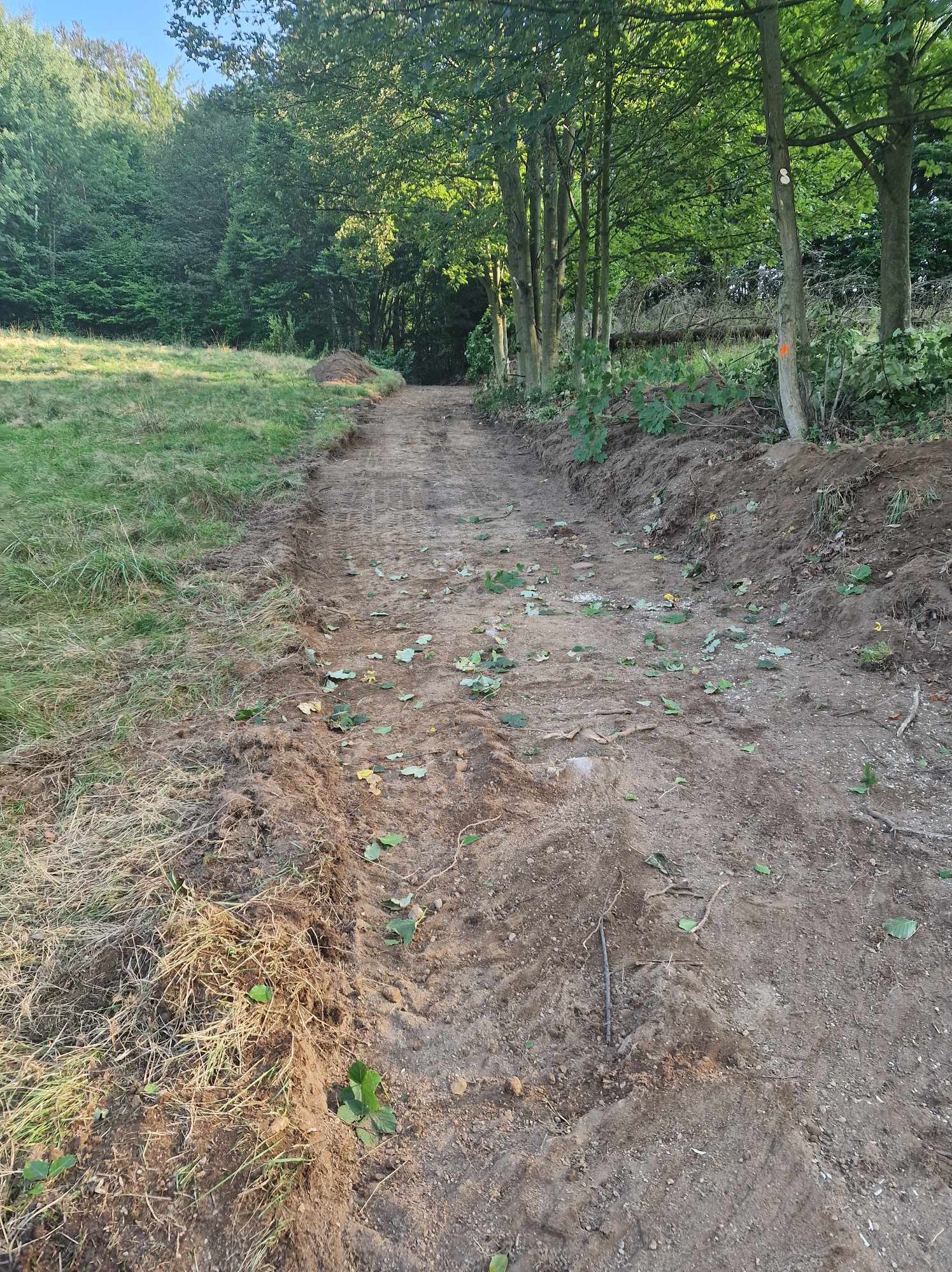 Świeżo wytyczona droga gruntowa przez łąkę i las, ślady opon na ziemi, wykopany pas ziemi, liście na ziemi. Widok z perspektywy pieszego.