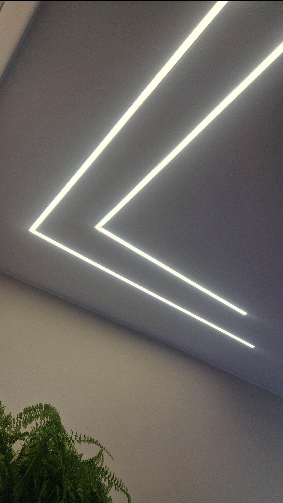 Nowoczesne oświetlenie sufitowe LED w kształcie litery V, z rośliną w rogu. Minimalistyczny design, równomierne światło, szara ściana w tle.