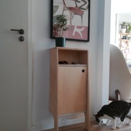 .bygga - USŁUGI MICHAŁ BIGUS - Drewniana szafka z pojedynczymi drzwiczkami, na niej roślina w doniczce, obok białe drzwi i kot. U góry na ścianie wisi obrazek w czarnej ramie.