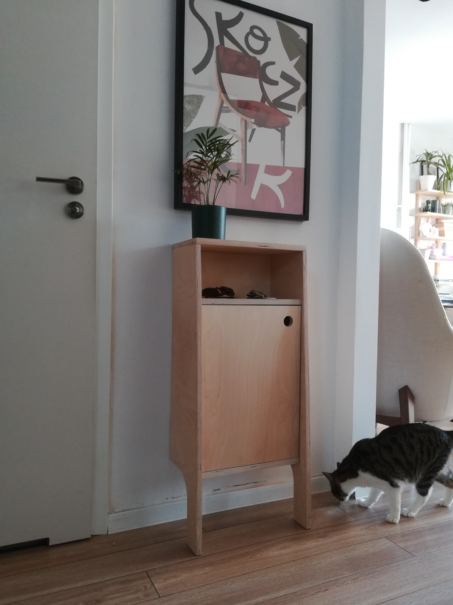 Drewniana szafka z pojedynczymi drzwiczkami, na niej roślina w doniczce, obok białe drzwi i kot. U góry na ścianie wisi obrazek w czarnej ramie.