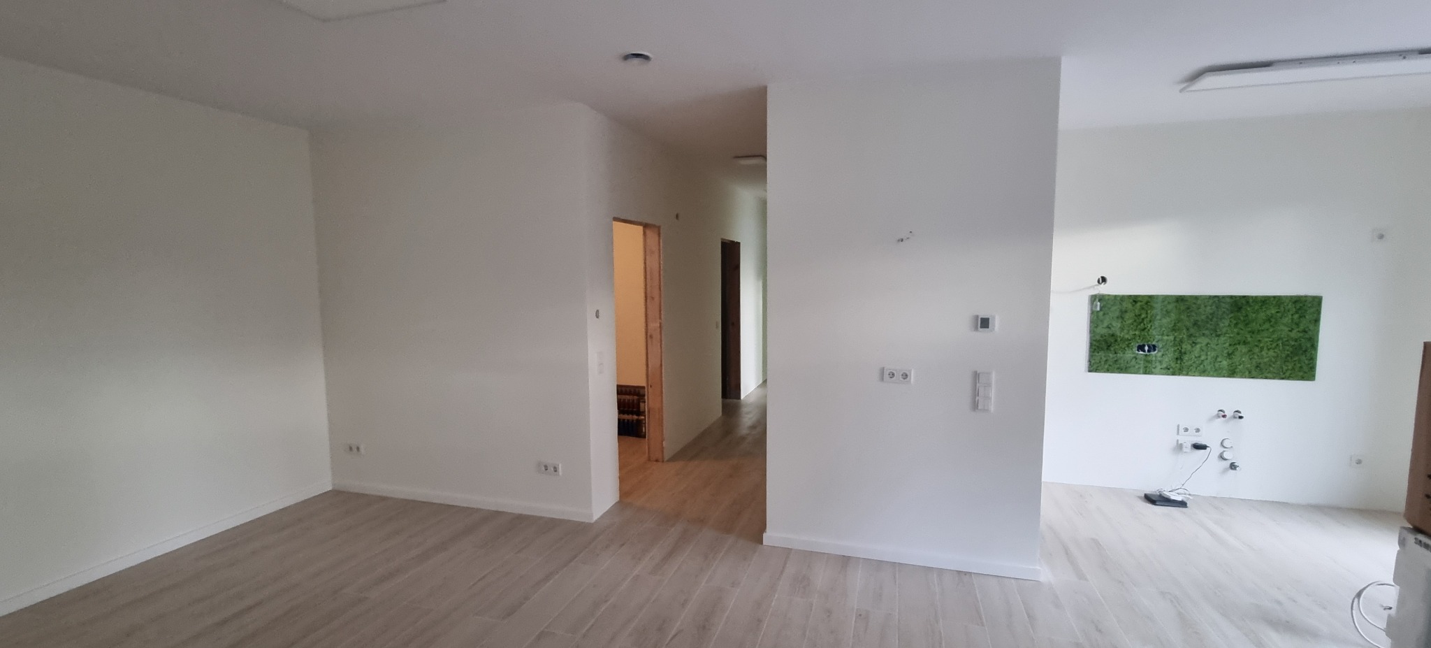 Jasne, świeżo wykończone wnętrze z panelami podłogowymi, białymi ścianami i zielonym panelem dekoracyjnym. Widoczne gniazdka i włączniki. Minimalistyczny design.