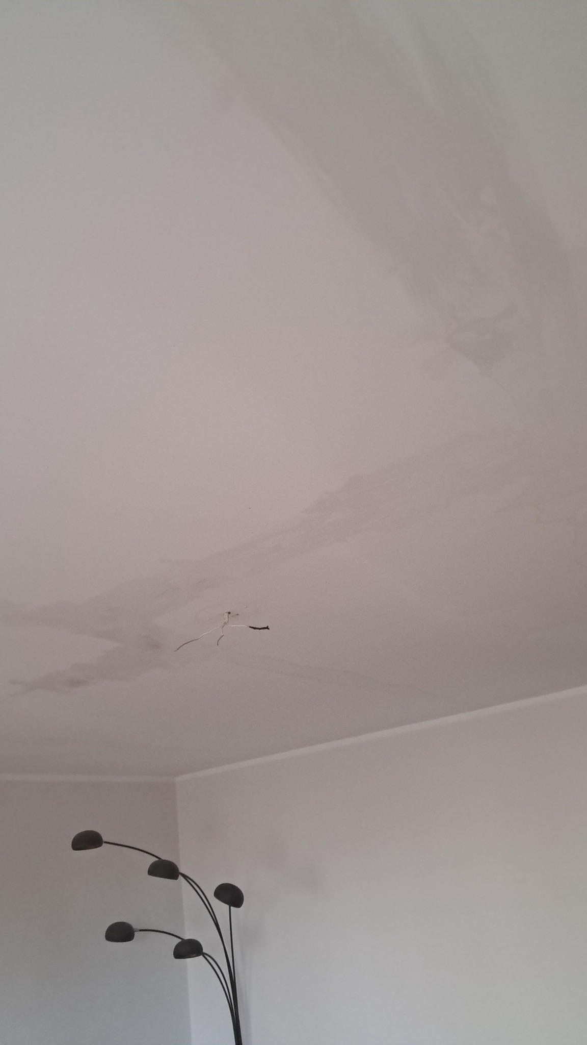 Zacieki na suficie w rogu pokoju, widoczne ślady po zalaniu. W tle lampa stojąca z pięcioma kloszami. Widoczne wystające kable.