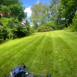Równomiernie skoszony trawnik z widocznymi pasami, z perspektywy kosiarki, w tle drzewa i fragment budynku. Słoneczny dzień.