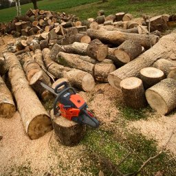 Wycinka drzew Namysłów 2