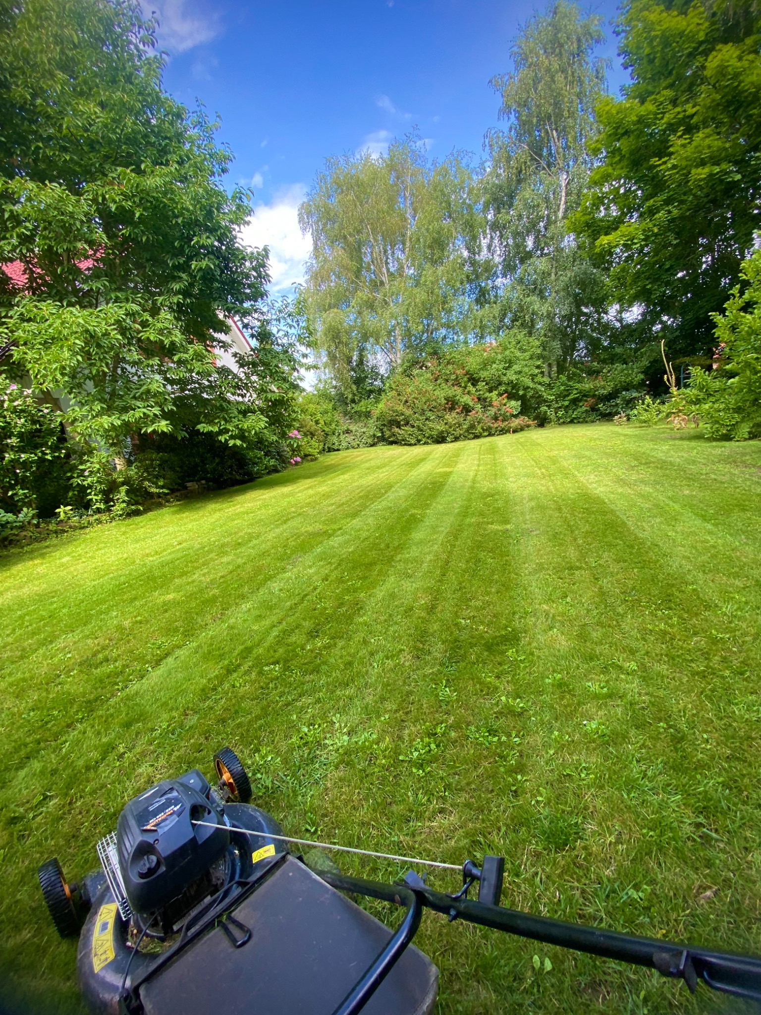 Równomiernie skoszony trawnik z widocznymi pasami, z perspektywy kosiarki, w tle drzewa i fragment budynku. Słoneczny dzień.