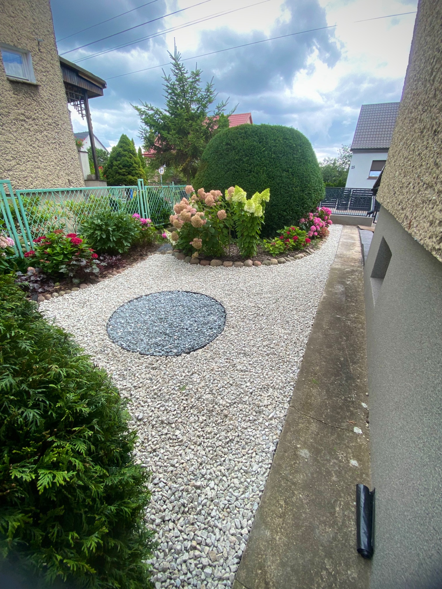Ogród z białym żwirem i okrągłym elementem z szarego żwiru. Hortensje i inne rośliny ozdobne wzdłuż ścieżki. Zadbany żywopłot kulisty i iglaki w tle.