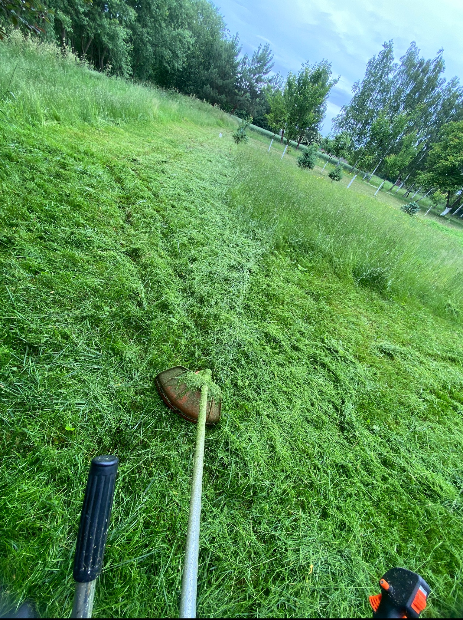 Koszenie trawy kosiarką spalinową w ogrodzie. Widoczna linia cięcia, wysoka trawa w tle. Kadr z perspektywy operatora kosiarki.
