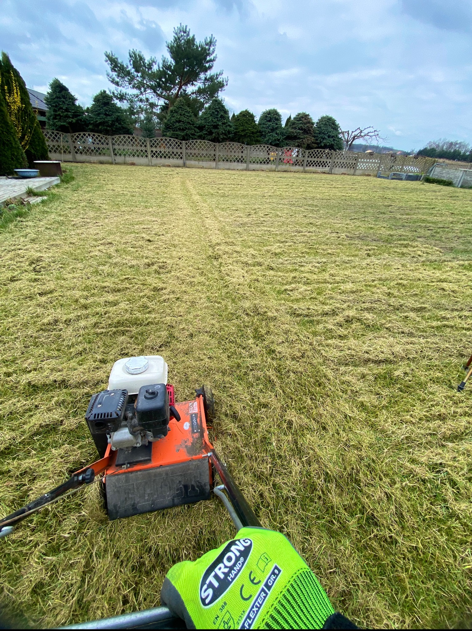 Wertykulacja trawnika w ogrodzie. Widoczny wertykulator i rękawice robocze. Trawa po zabiegu z widocznymi śladami. W tle ogrodzenie i drzewa.