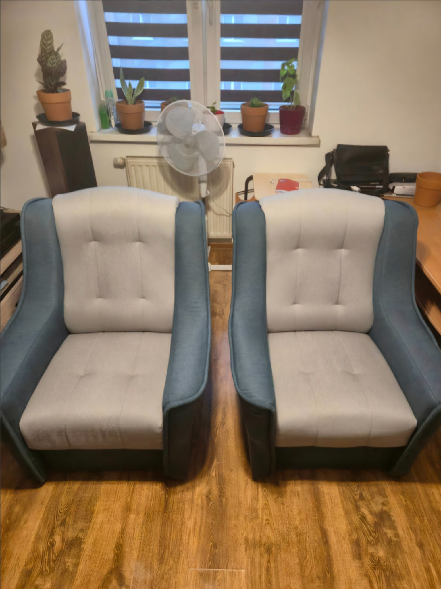 Dwa identyczne fotele tapicerowane w odcieniach szarości i błękitu, ustawione obok siebie na drewnianej podłodze, z roślinami w tle na parapecie okiennym.