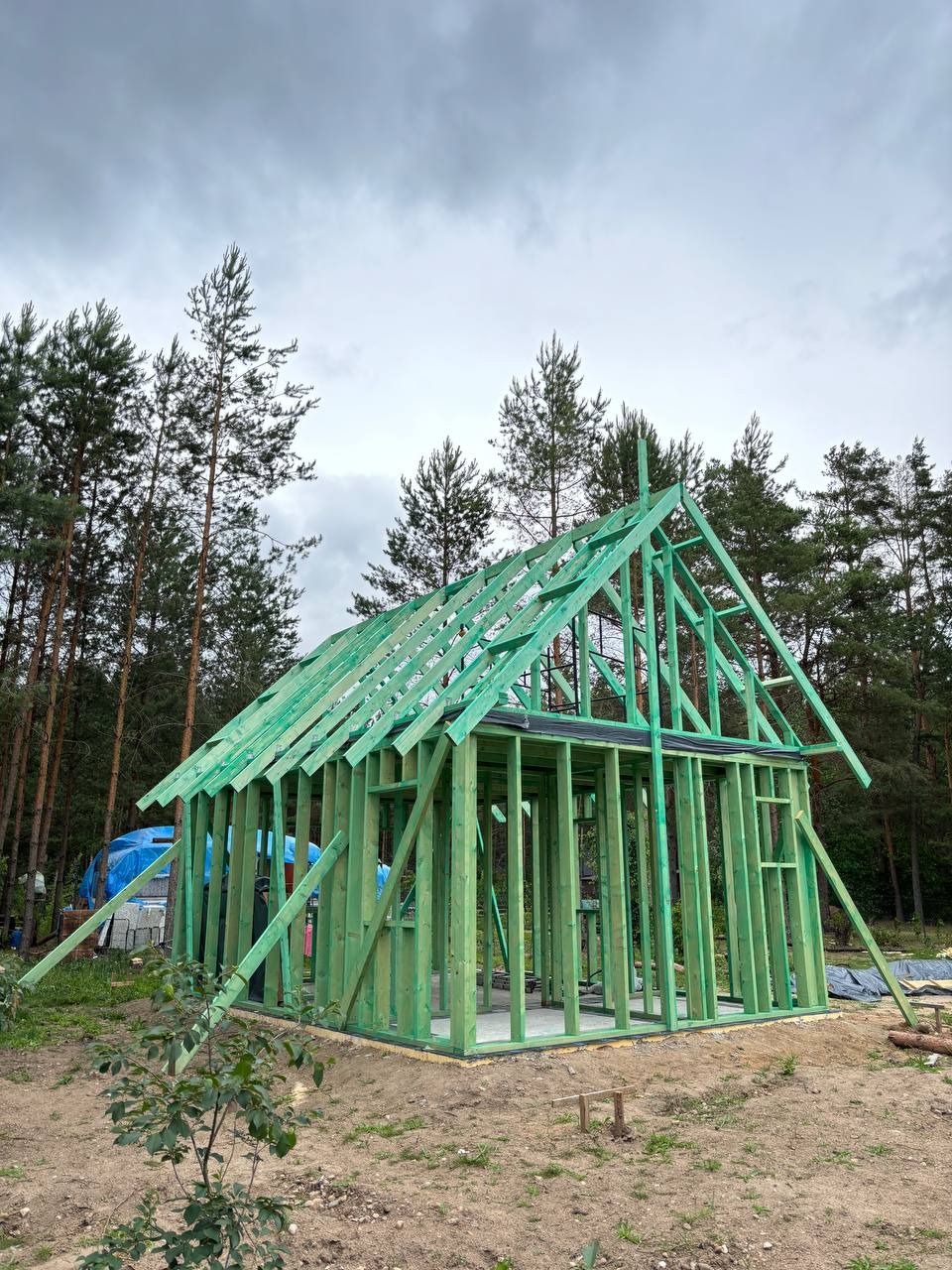 Zielony szkielet domu w lesie, widok z dołu. Konstrukcja z drewna, fundamenty wylane, pochmurne niebo w tle, drzewa iglaste otaczają budowę.