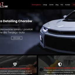Alligatorbox - Strona internetowa firmy Pit Lane Auto Detailing Chorzów z ofertą myjni ręcznej, polerowania i powłok ceramicznych. Na pierwszym planie fragment białego samochodu.