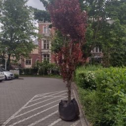 BBK KRZYSZTOF BARAN-BARAŃSKI - Melioracja Bierzów