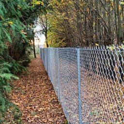 BBK KRZYSZTOF BARAN-BARAŃSKI - Długi, nowy, srebrny płot z siatki ogrodzeniowej biegnie wzdłuż ścieżki w lesie, gdzie ziemię pokrywają opadłe, jesienne liście. Po obu stronach płotu rosną drzewa.