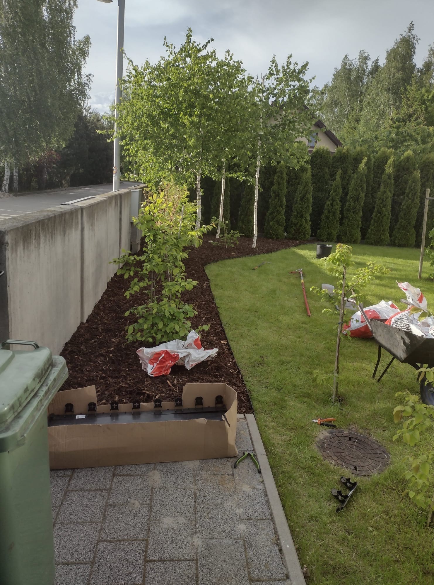 Aranżacja ogrodu w trakcie realizacji: młode drzewka, kora, obrzeża trawnikowe, narzędzia ogrodnicze. Widok na trawnik i żywopłot.