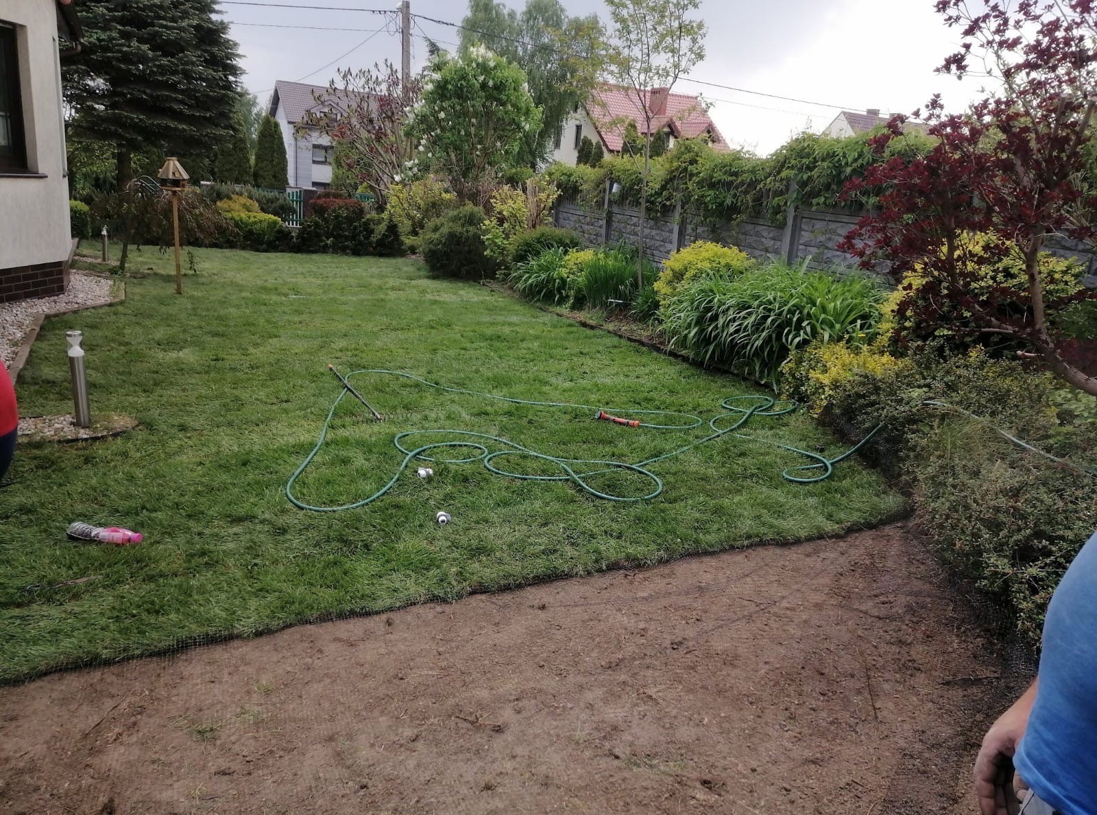 Fragment ogrodu z rozłożoną trawą z rolki, widoczny system nawadniania i przygotowany teren pod dalsze prace. W tle roślinność ogrodowa i dom.