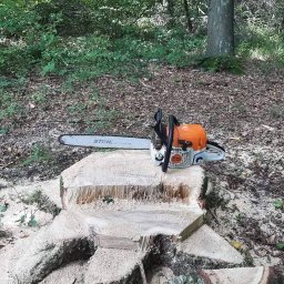 EcoDrew - Usługi Ogrodnicze Gogolin