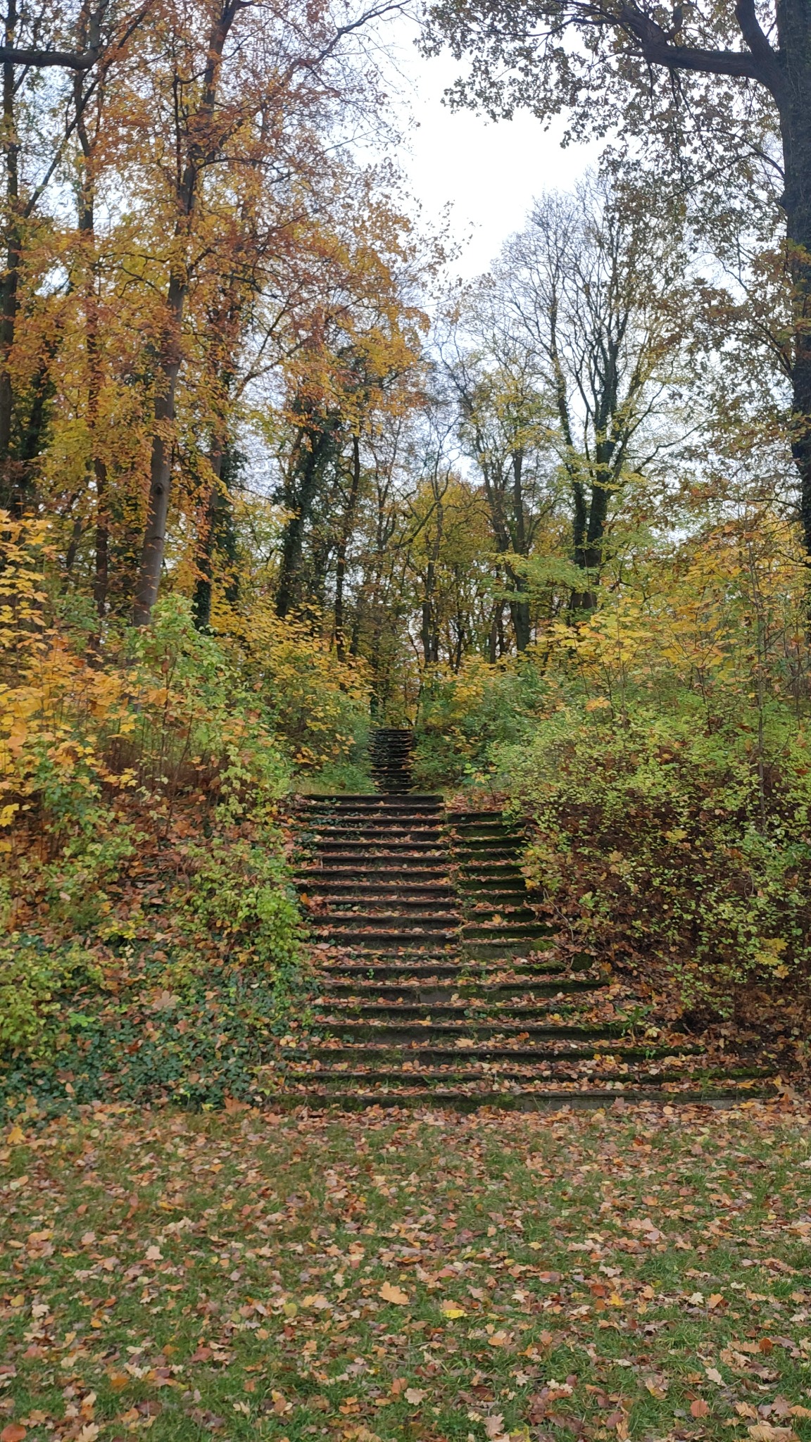Jesienny krajobraz z kamiennymi schodami wznoszącymi się przez las, liście pokrywają ziemię i stopnie, drzewa w odcieniach zieleni, żółci i brązu.