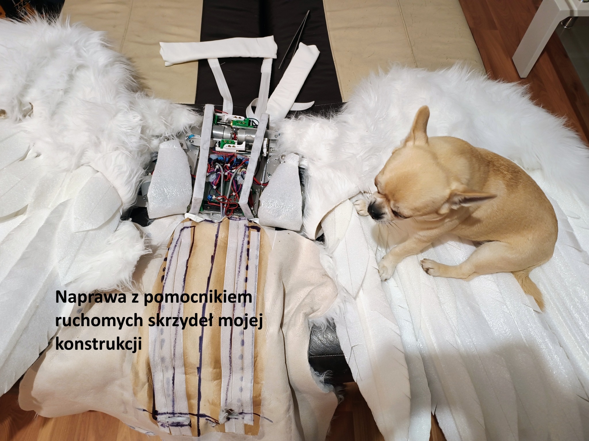 Ręcznie robione skrzydła z elektroniką i pieskiem. Widoczne białe pióra, mechanizm i przewody. Nietypowa konstrukcja w trakcie naprawy.