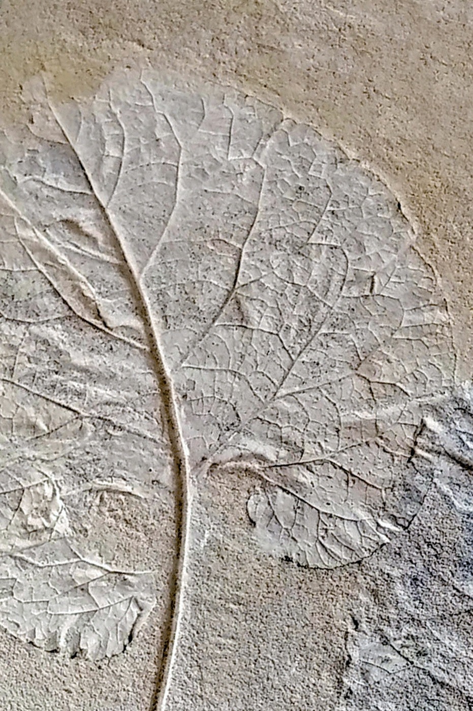 Dekor z mikrocementu - element na zam. indywidualne