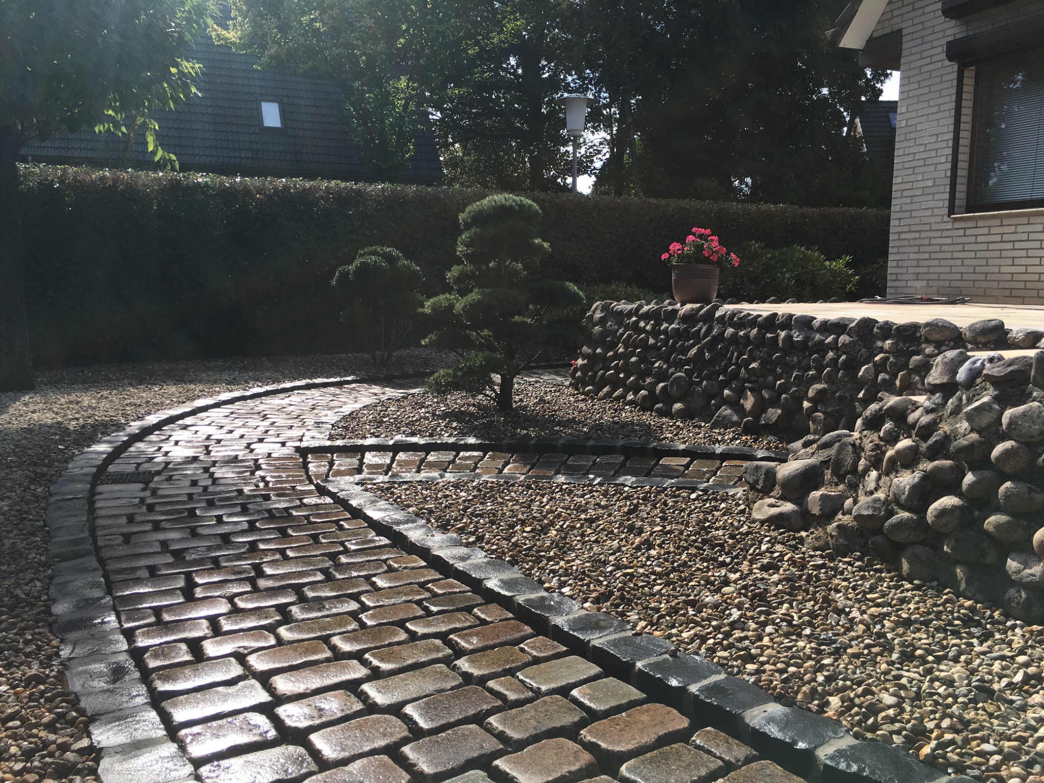 Ścieżka z kostki brukowej wijąca się przez ogród z kamieniami i roślinami ozdobnymi. W tle dom z cegły i zielony żywopłot.
