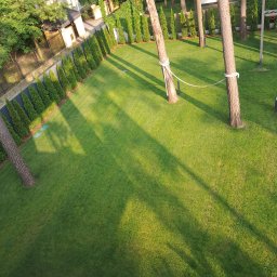 Trawa z rolki Otwock 1