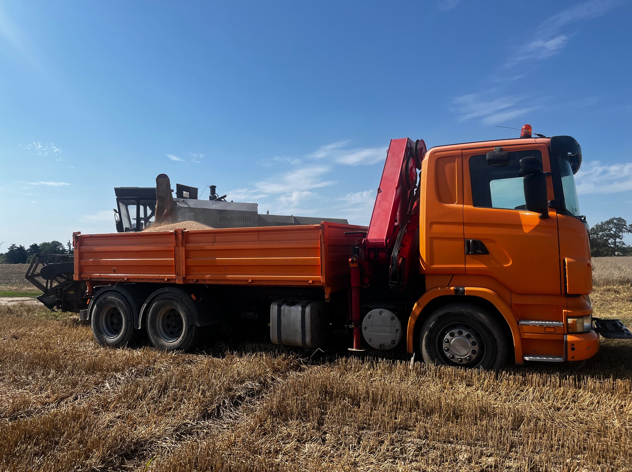 Pomarańczowa ciężarówka z dźwigiem i ładunkiem zboża na polu po żniwach, błękitne niebo w tle. Widok z boku, słoneczny dzień.