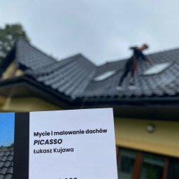 Mycie i Malowanie Dachów PICASSO Łukasz Kujawa - Usługi Dekarskie Sadowne