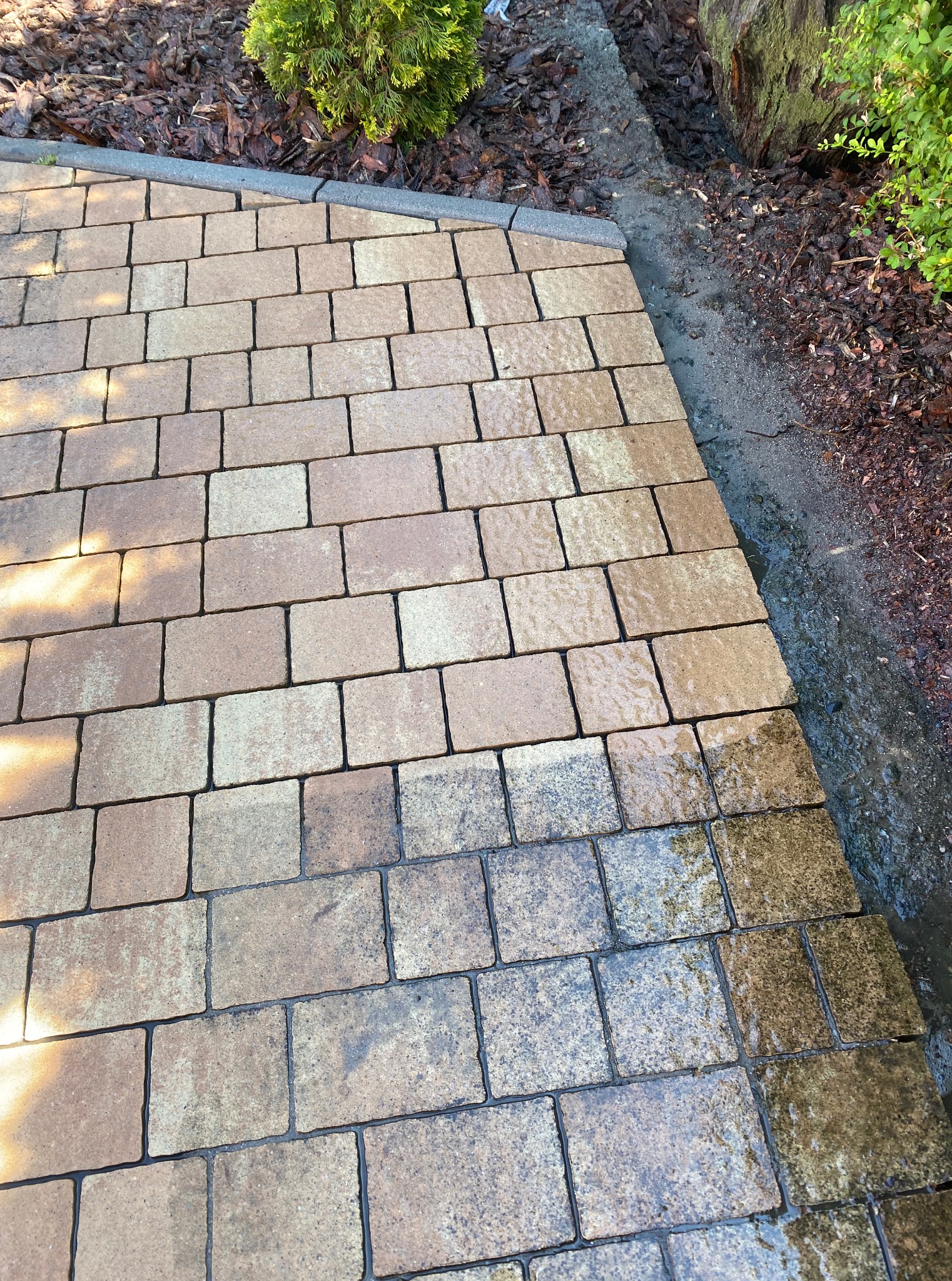 Częściowo umyta kostka brukowa w odcieniach beżu i brązu, widoczna różnica w czystości. Obok kostki ziemia z korą i fragment zieleni. Perspektywa z góry.